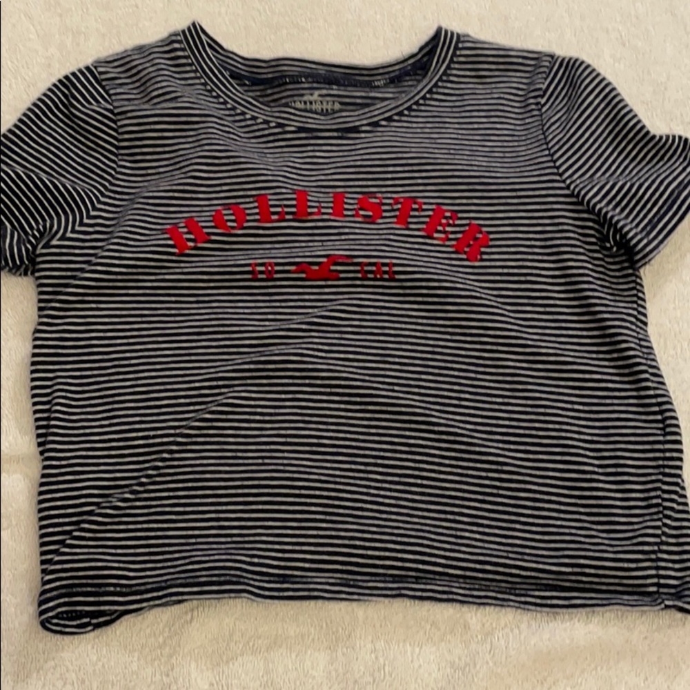 Hollister Small Tee